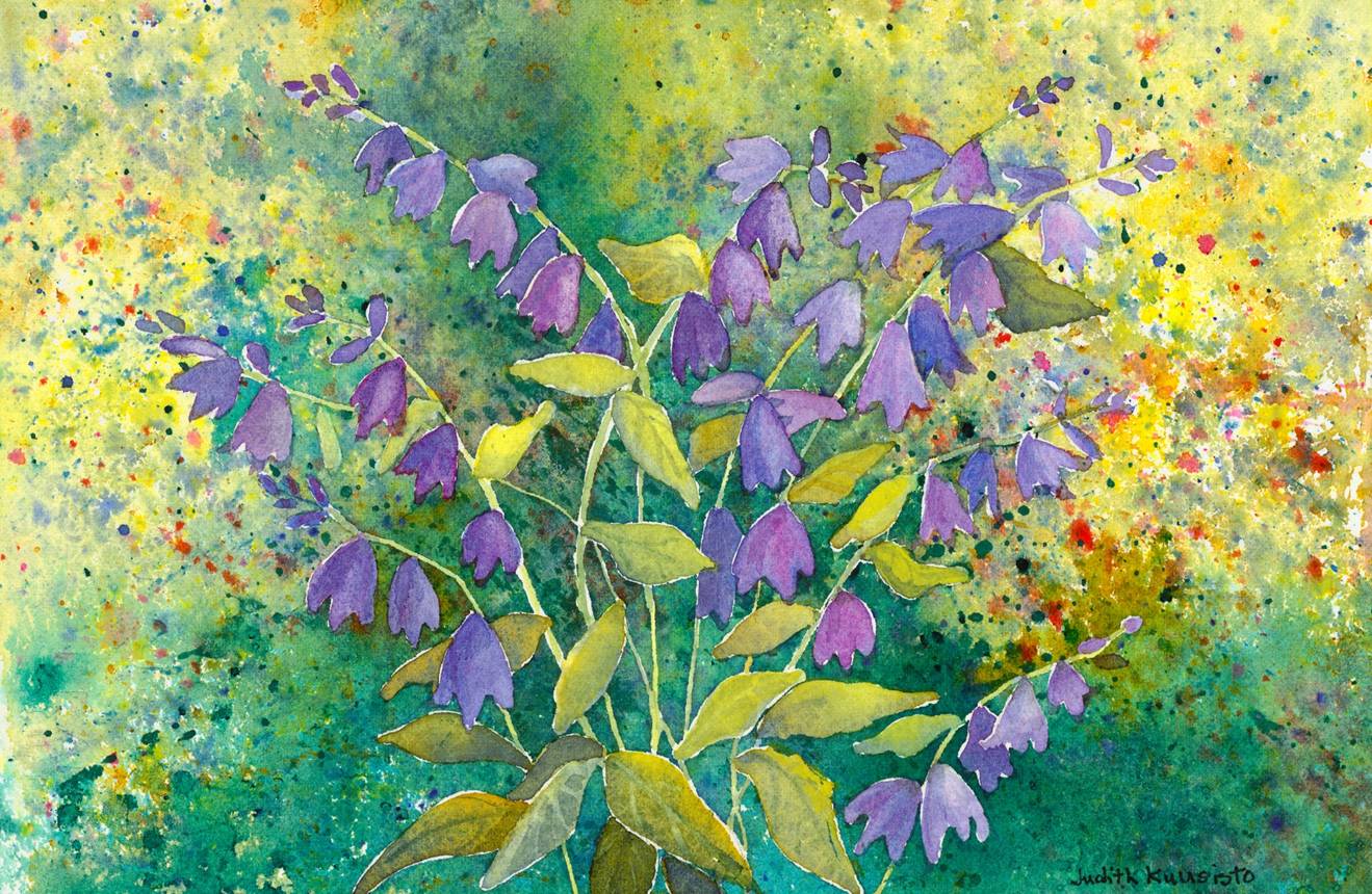 "Bellflower Summer," watercolor, Judy Kuusisto